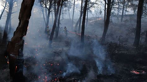 Feux En Corse Un Homme Inculpé Et écroué Pour Incendie Volontaire Rtbfbe