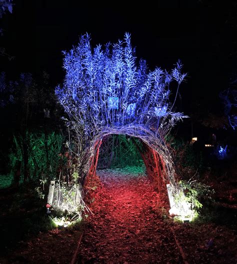 Faster cabin arrivals expected for Roosevelt Tramway 35