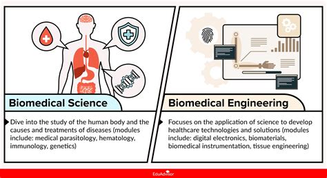 Biomedical Science vs Biomedical Engineering: What’s the Difference? 