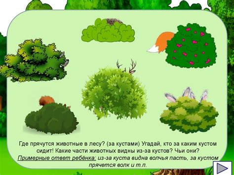 Игра "Кто прячется в лесу?" - online presentation