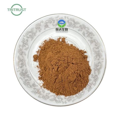 Wholesale Radix Angelicae Sinensis Extract Angelica Sinensis Root