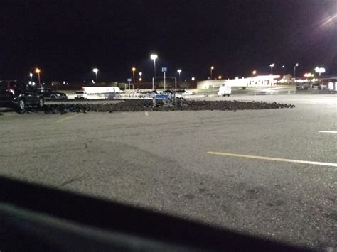 Attack of the birds : r/walmart