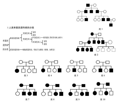 遗传系谱图的快准识别 参考网