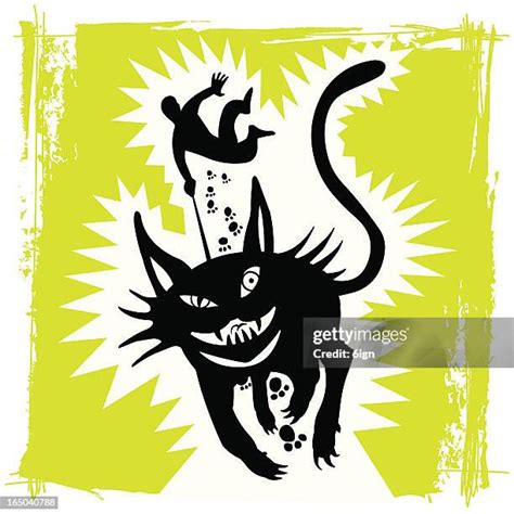 Black Cat Track Photos And Premium High Res Pictures Getty Images
