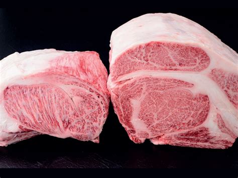 Wagyu Beef Wholesale KL Japanese Premium Quality Halal Beef Supply Selangor