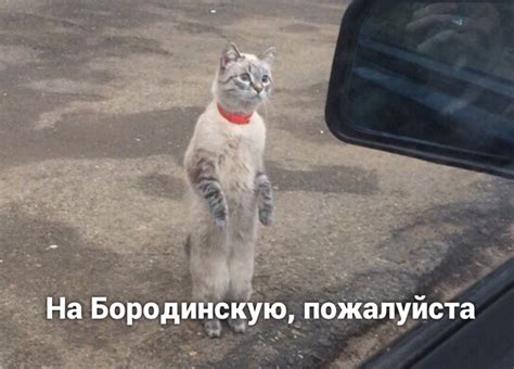 Бородинская | Пикабу