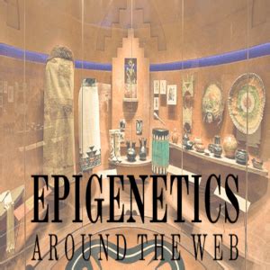 How epigenetics, our gut microbiome and the environment interact to ...