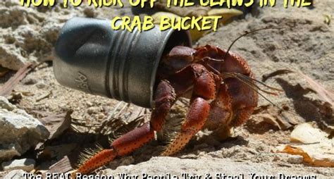 How To Kick Off The Claws In The Crab Bucket