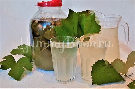 Квас из листьев винограда - простой и вкусный рецепт с пошаговыми фото