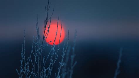 Hintergrundbilder Sonnenlicht Landschaft Sonnenuntergang Natur