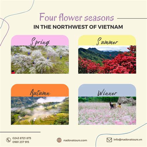 flower seasons   northwest  vietnam nadova tours