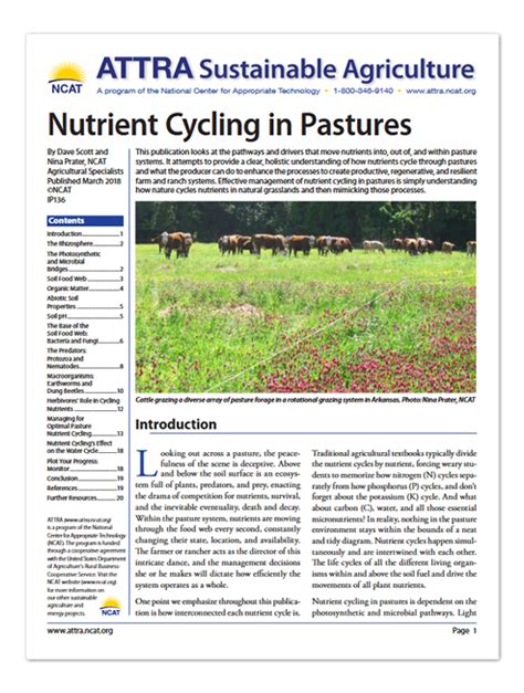 Nutrient Cycling In Pastures Attra Sustainable Agriculture Project