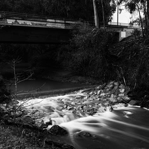 Creek Stream Water Free Photo On Pixabay Pixabay