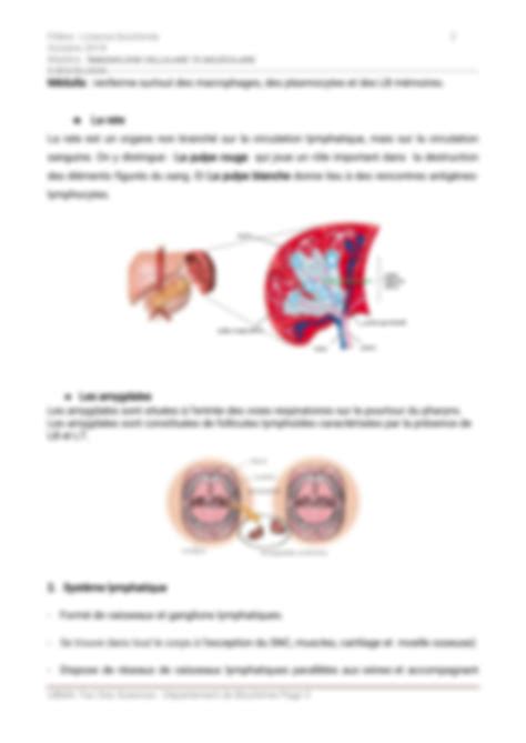 Solution Organes Et Systeme Lymphatique Studypool