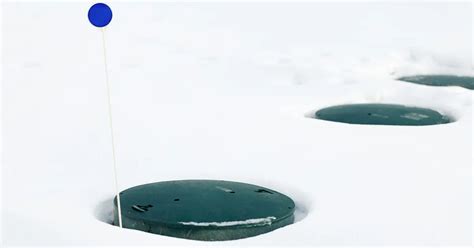 Winter Septic System Maintenance - Rotti and Son