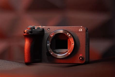 Sony FX30 im Test > Sasan Amir in der Wildnis 🐯