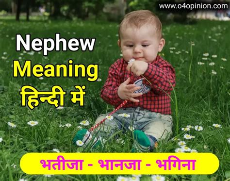 nephew meaning kaya hata ha bhataja ka apajata jadara
