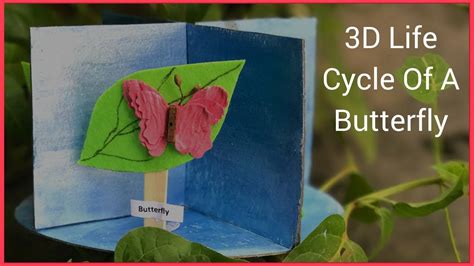 How To Make A 3d Model Of Life Cycle Of A Butterfly Butterfly Life