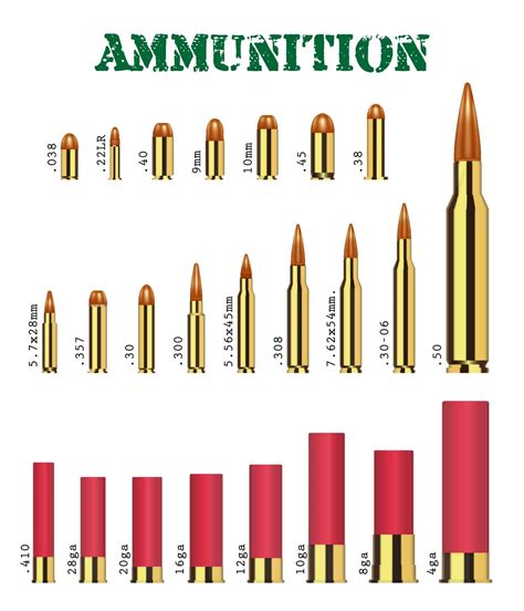 real set of many types of gun ammunition vector 2262064 Vector Art at Vecteezy