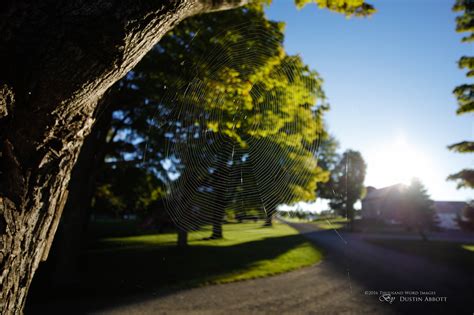 Canon EOS 5D Mark IV (5D4) Image Gallery - DustinAbbott.net