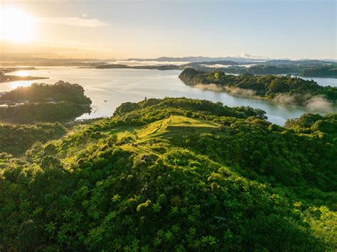 I Love Avondale - The International Sisterhood is a group of women from