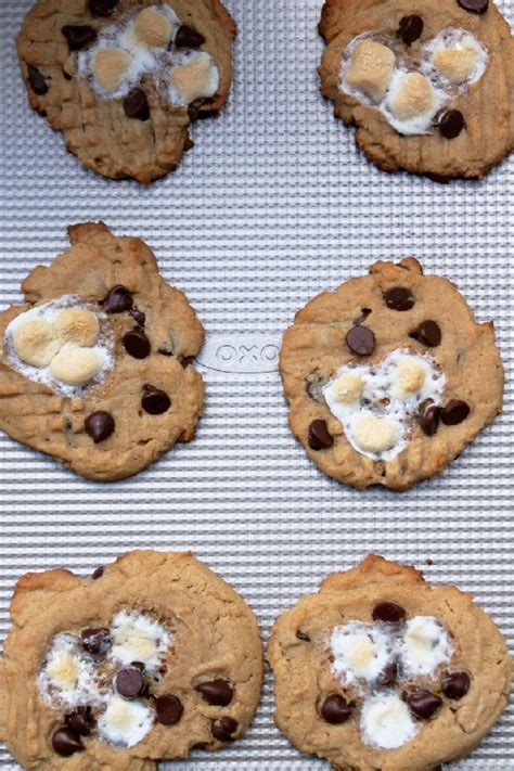 Campfire Cookies Recipe — Dishmaps