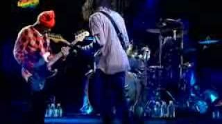 Red Hot Chili Peppers Under The Bridge Chords Chordify