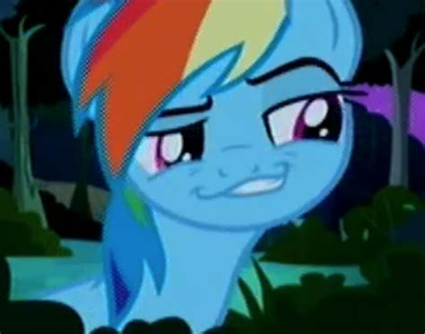 Safe Rainbow Dash Daring Don T Dreamworks Face Female