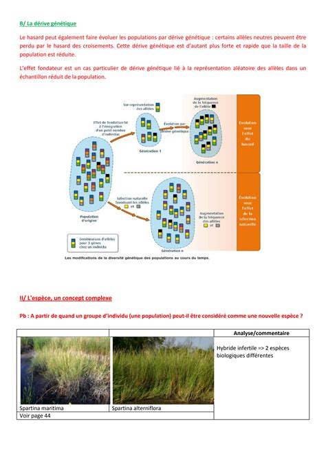 Solution De La Diversification Des Etres Vivants A L Evolution De La Biodiversite Cours 1