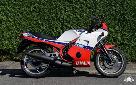 Yamaha Rd 350 Seat Height