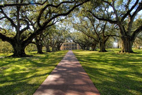 oak-alley-plantation | Margaret Locke