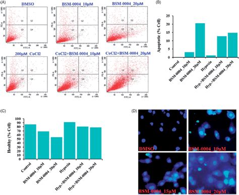 Bsm 0004 Induces Prelate Apoptosis A C The Apoptotic Mcf 7 Cells