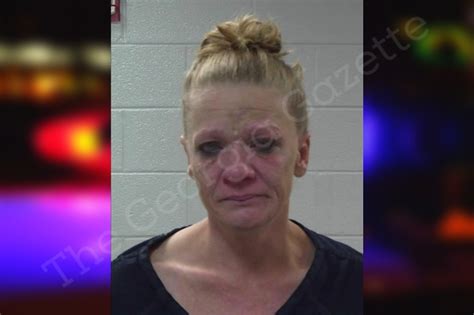 Jennifer Gudger — Gilmer County Jail Bookings