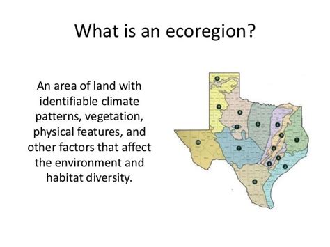 Ecoregions Of Texas