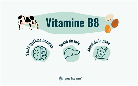 Liste Des Vitamines Et De Leurs R Les Pour La Sant Performe