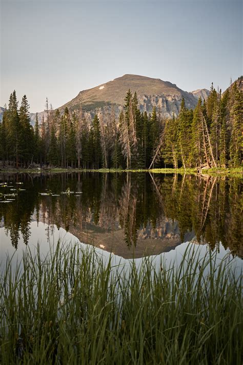 Nymph Lake Rocky Mountain National Park Colorado Oc X