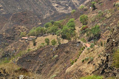 Inc Ndio Na Serra Malagueta Ter Afectado Hectares De Terreno