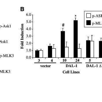 Activation Of The Mixed Lineage Kinase Mlk Is Required For Dal