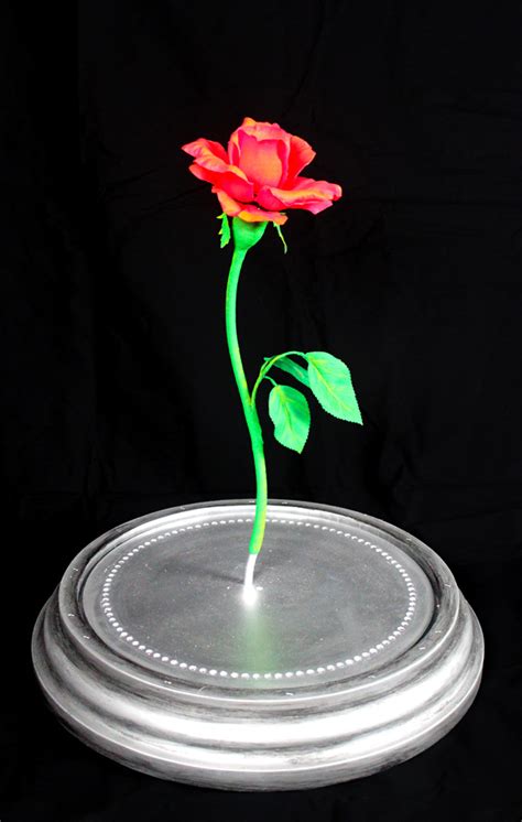 enchanted rose stage monkey design consulting