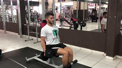 BÍceps Rosca Martelo Alternada Sentada Youtube