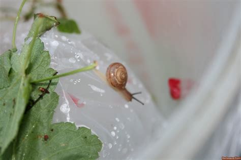 Amateur Lovers 4641 Nude Photos6966 13239 Porn Pic