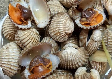 Resep Kerang Dara Rebus Sederhana Oleh Geby Sabrina Ekawati Dimjati