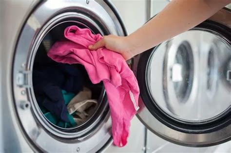 Deadly Ecoli Lurking In 44 Of Washing Machines As People