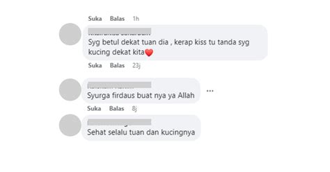 Ini Baru Orang Panggil Dalam Hati Ada Taman Abang Motor Bawa Kucing