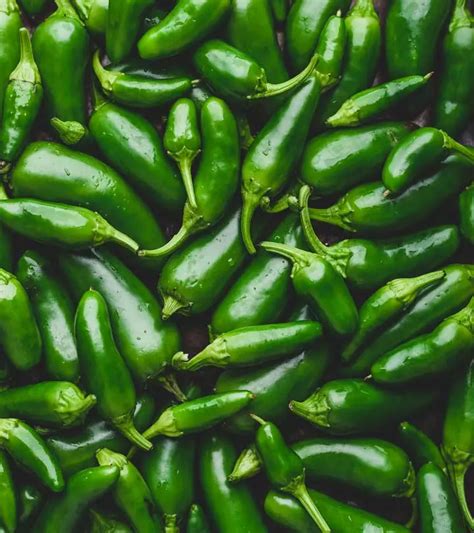 Top 6 Health Benefits Of Jalapenos Easy Recipes