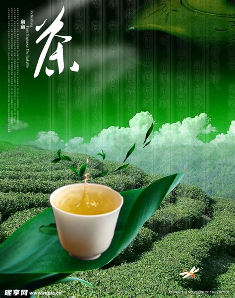 绿色茶风茶园清茶海报设计图广告设计广告设计设计图库昵图网