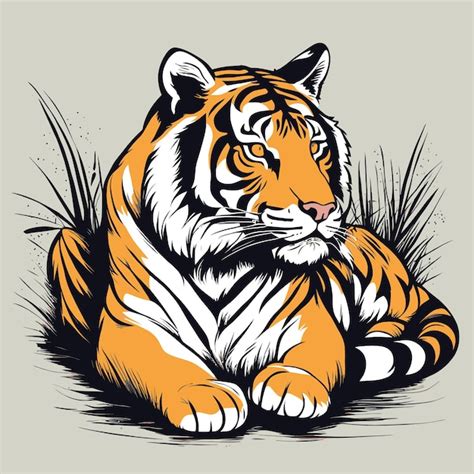 Premium Vector Vector Hand Drawn Tiger Illustration