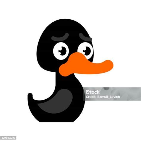 Patinho Preto Desenho - Vetores de Pato Preto Isolado Ilustração Do Vetor De Pássaros De ...