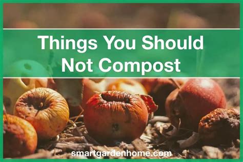 15 Things Not To Compost At Home Smart Garden And Home