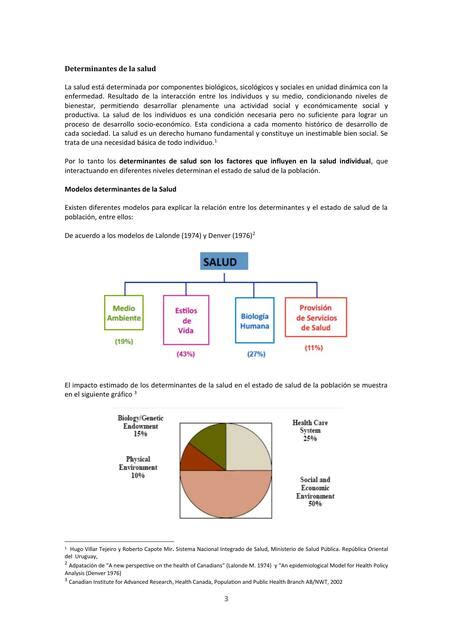 Determinantes De La Salud Ensaludyconocimiento Udocz